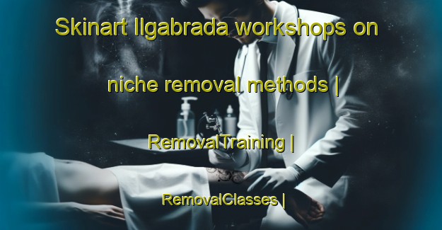 Skinart Ilgabrada workshops on niche removal methods | RemovalTraining | RemovalClasses | SkinartTraining-Lithuania